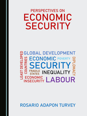 cover image of Perspectives on Economic Security